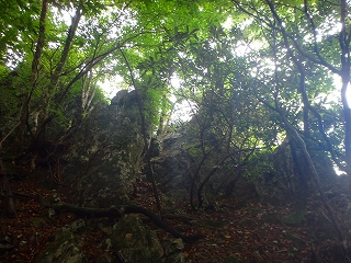 f0193521_15592652.jpg