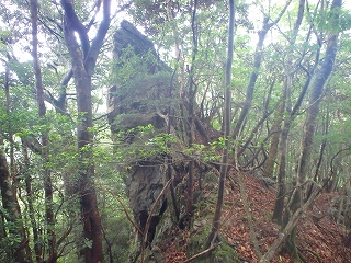 f0193521_15594794.jpg