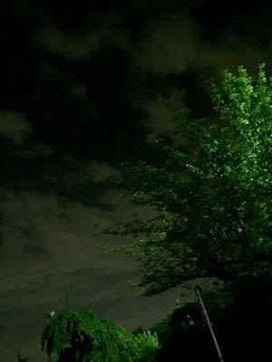 b0203925_5365489.jpg
