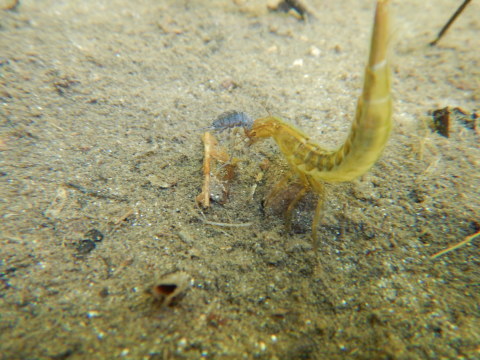 f0118332_16041570.jpg