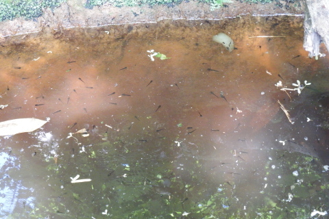 f0118332_16141255.jpg