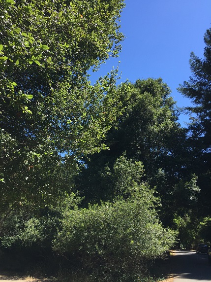 b0198033_853618.jpg