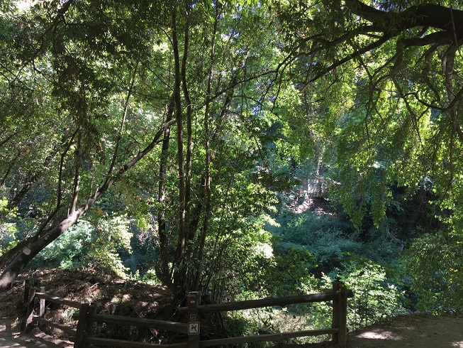 b0198033_9113125.jpg