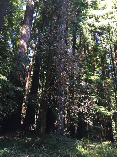 b0198033_9125736.jpg