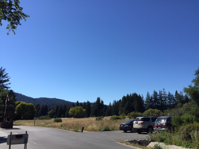 b0198033_9212650.jpg