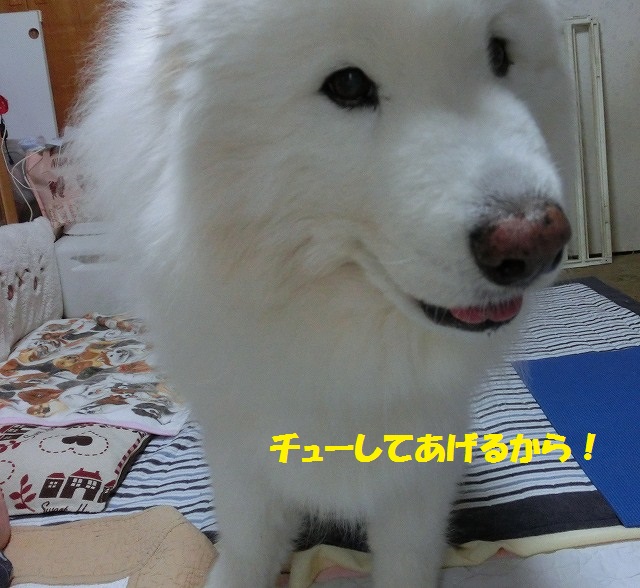 e0196135_17503951.jpg