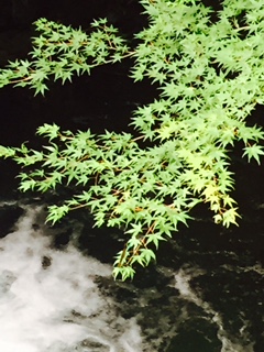 a0291938_18522545.jpg