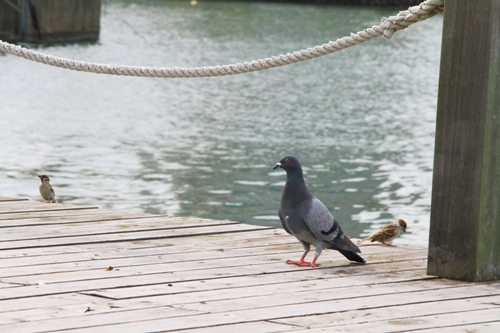 d0006047_20205627.jpg
