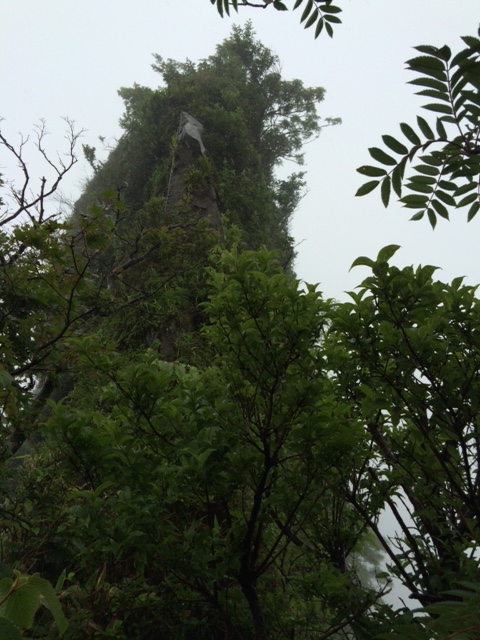 b0161750_2262691.jpg