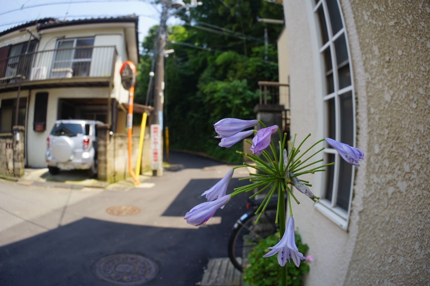 a0063552_912718.jpg