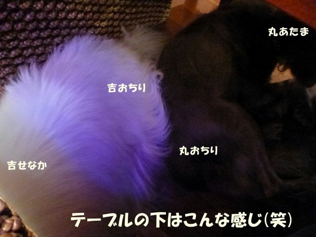 e0176159_20315740.jpg