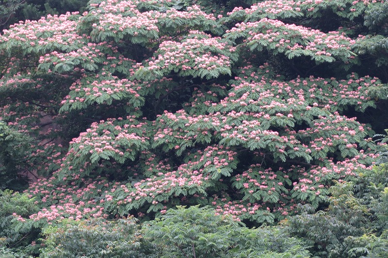 b0104861_217312.jpg