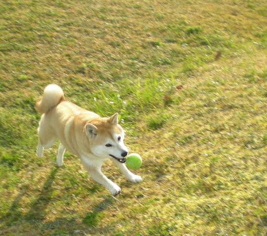 f0060461_14122067.jpg