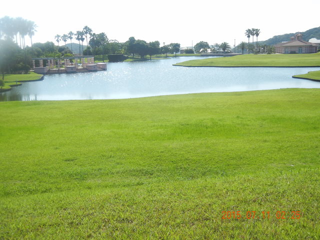 f0060461_145986.jpg