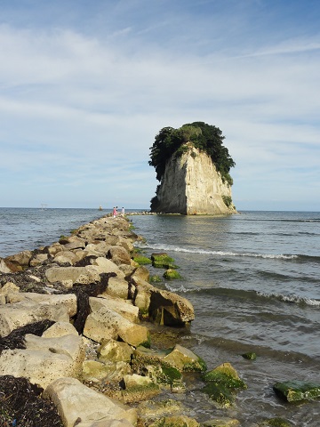 d0029363_11143682.jpg