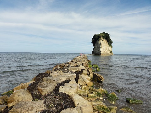 d0029363_11151798.jpg