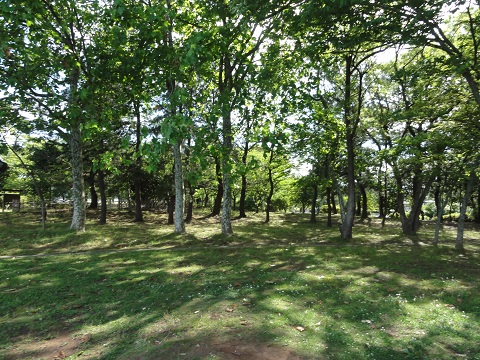d0029363_11182038.jpg