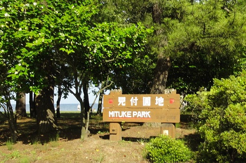 d0029363_1118853.jpg