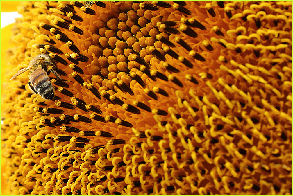 a0333665_9145985.jpg