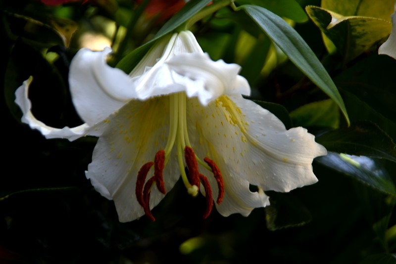 f0214467_5414373.jpg