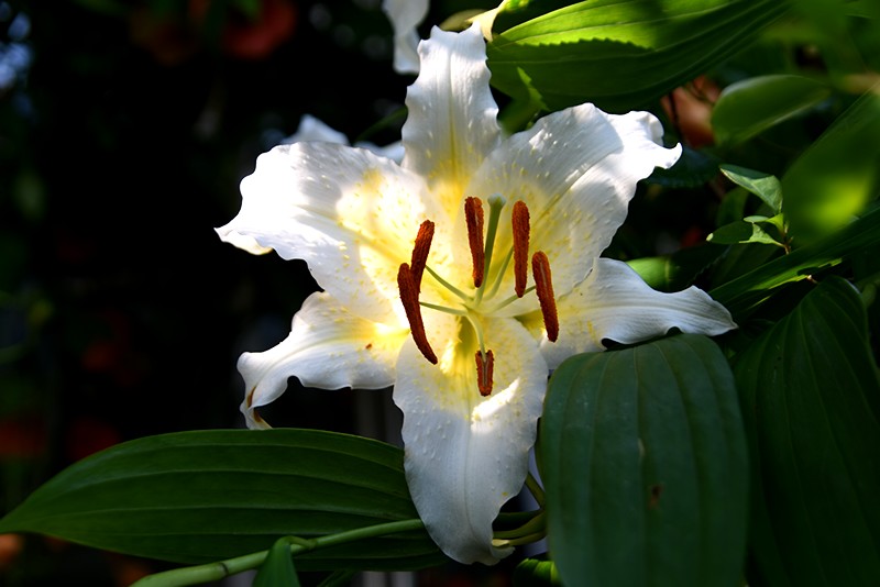 f0214467_5434172.jpg