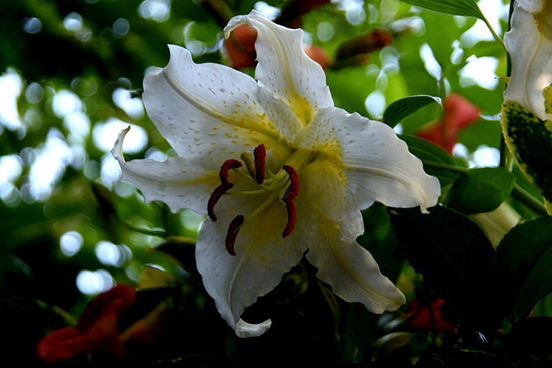 f0214467_5441120.jpg