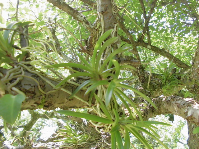 f0318967_08512027.jpg