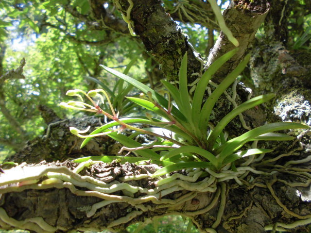 f0318967_08513188.jpg
