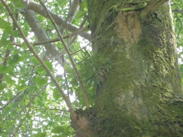 f0318967_08570226.jpg
