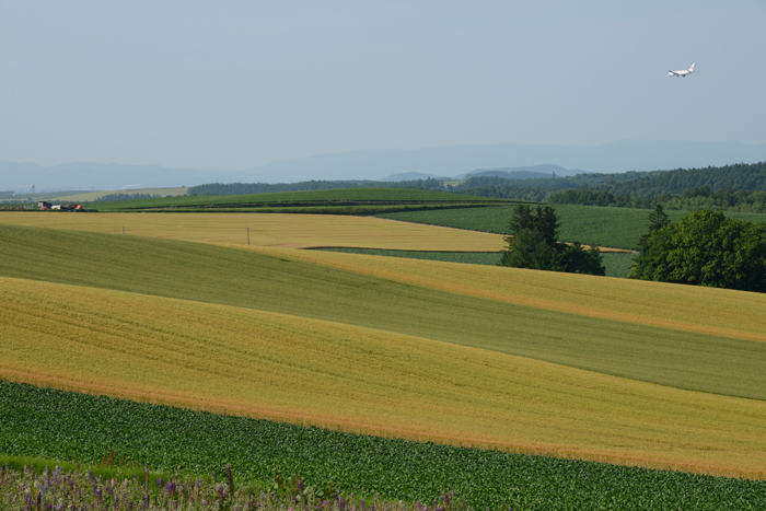 e0171573_22501685.jpg