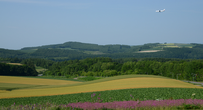 e0171573_22502622.jpg