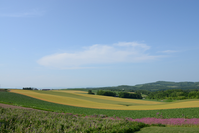e0171573_2250477.jpg