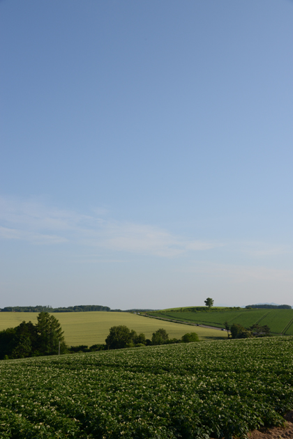 e0171573_2251204.jpg