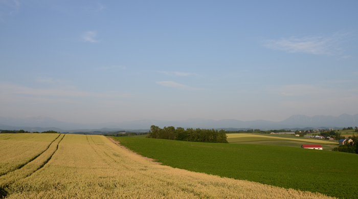 e0171573_22521185.jpg