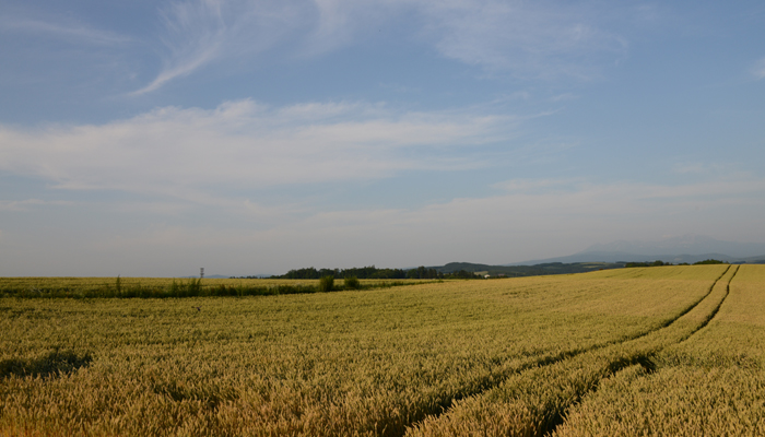 e0171573_2257228.jpg