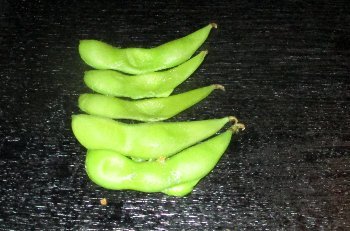 f0003283_09090862.jpg
