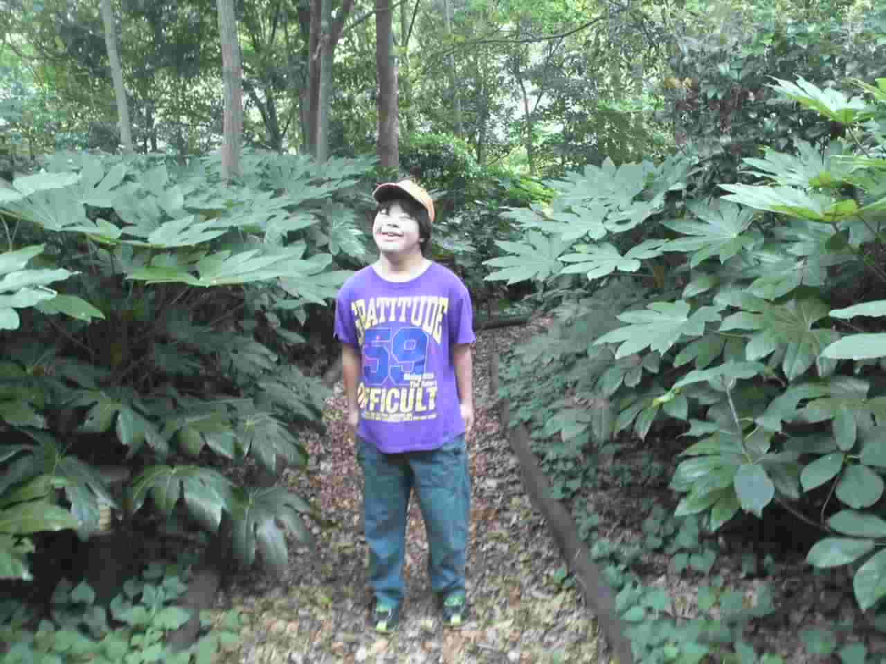 c0035386_18492223.jpg