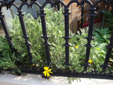 c0322794_23445827.jpg