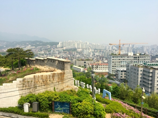 e0007801_23062964.jpg