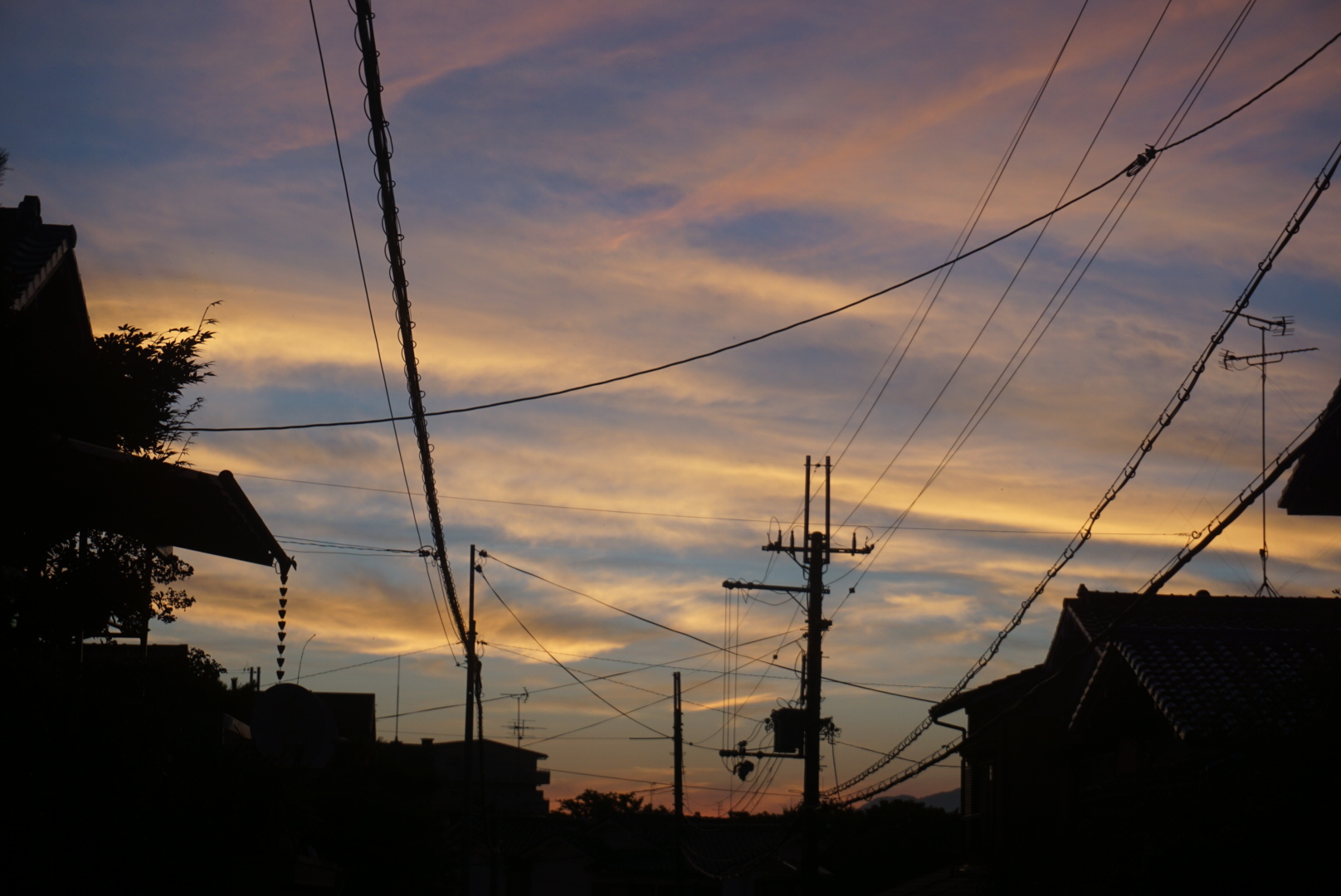 f0353904_741333.jpg