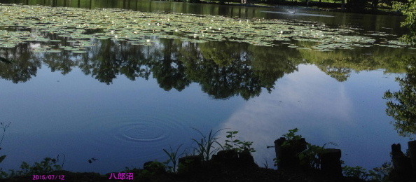 a0337807_18344714.jpg