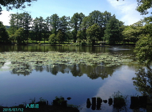 a0337807_18351399.jpg