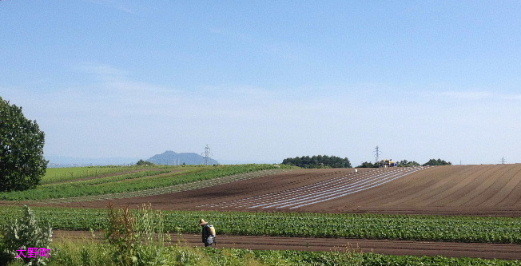 a0337807_19594014.jpg