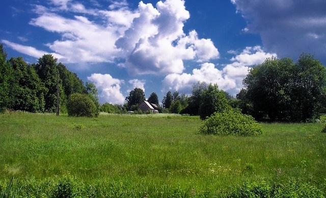 e0258208_1111173.jpg