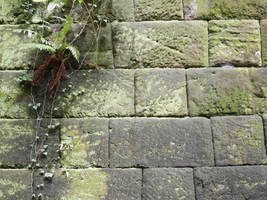 c0114110_985250.jpg