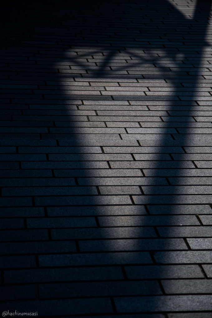f0249918_0193457.jpg