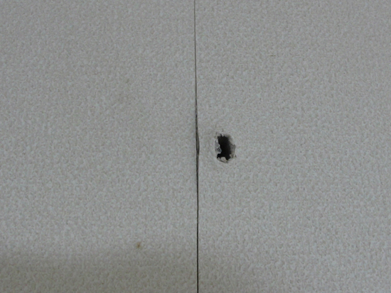 e0138031_82279.jpg