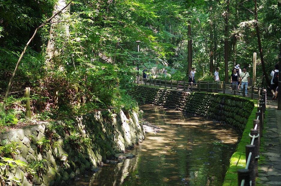 a0325232_18153940.jpg