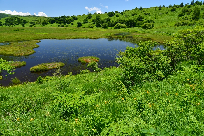 b0236334_845920.jpg