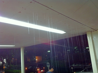 c0022635_10025859.jpg